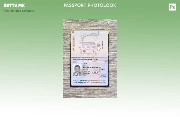 модерен стил Полска пасош + шаблон за изглед на фотографија